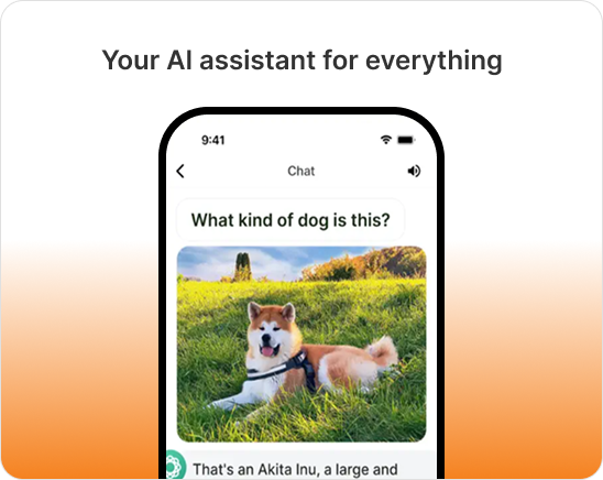 Genius AI - Product Interface